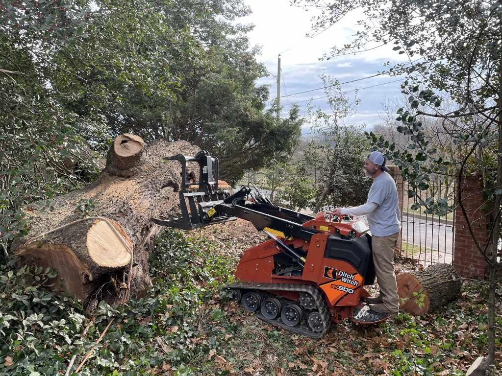 Owner operating a mini skid steer on a McLean tree removal