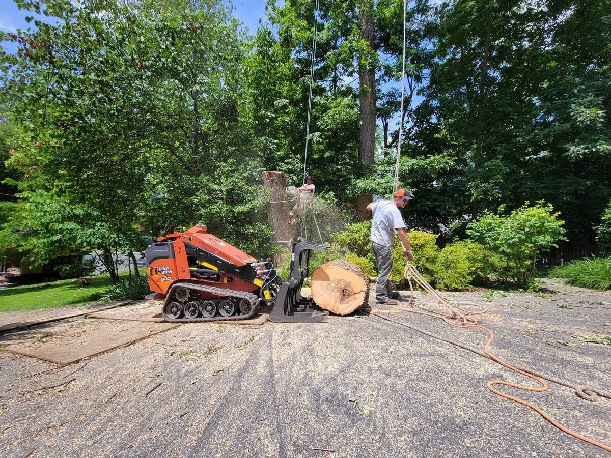 Ground crew rigging a trunk section during a takedown