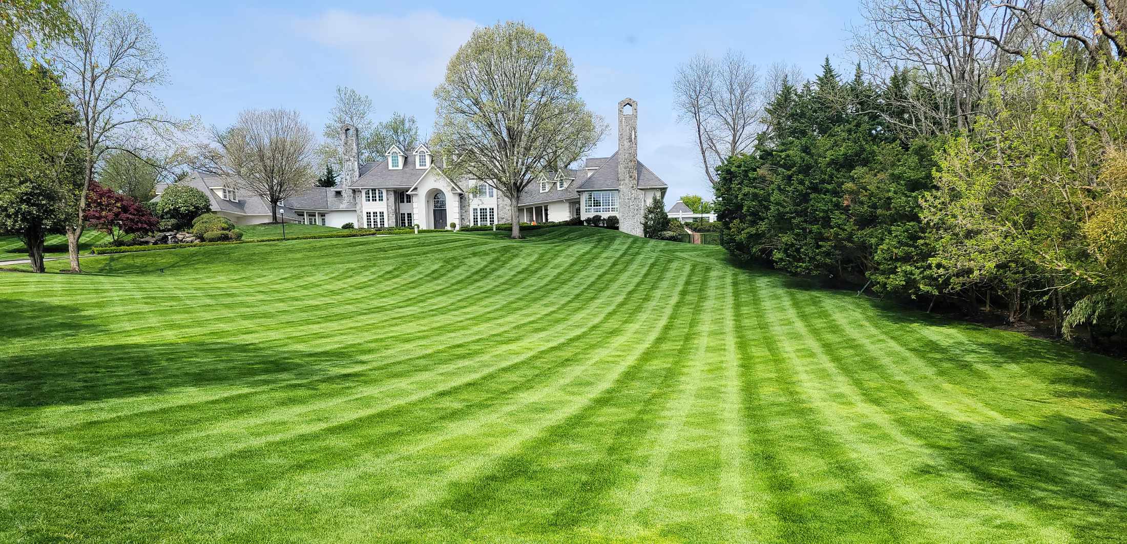 Professional tree care and landscaping services in McLean, Virginia