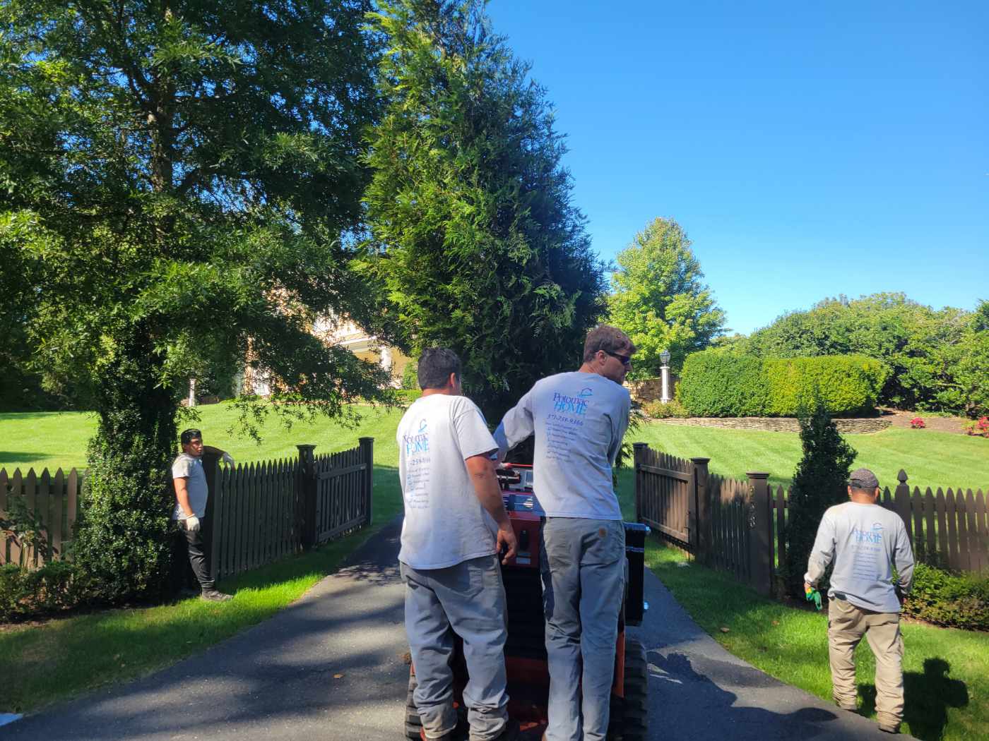 Crew installing a large evergreen on an estate drive